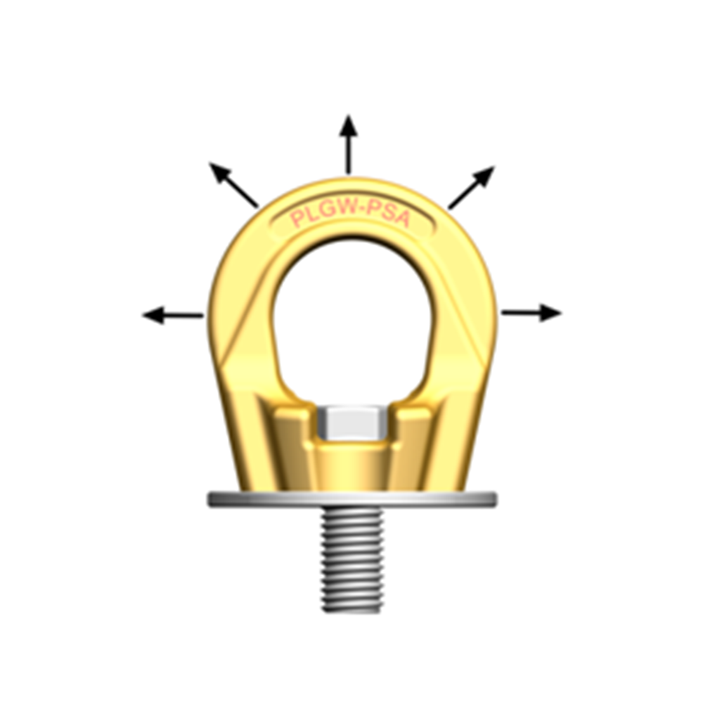 Fall Protection Anchorage Eye Bolt PLGW-PSA