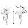 S20G Low headroom hoist/geared trolley combination